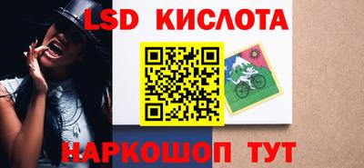 мдпв Кингисепп