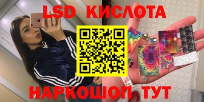мдпв Кингисепп