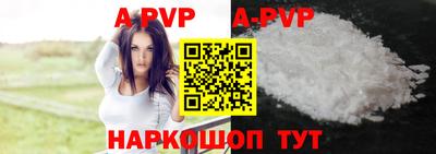 мдпв Кингисепп