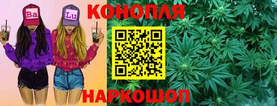 мдпв Кингисепп