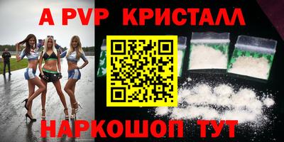 мдпв Кингисепп