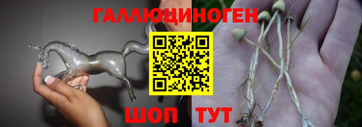 Псилоцибиновые грибы Psilocybine cubensis Шахты