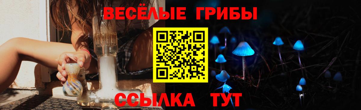 Шахты  Галлюциногенные грибы GOLDEN TEACHER  Галлюциногенные грибы GOLDEN TEACHER  Вход с VPN 